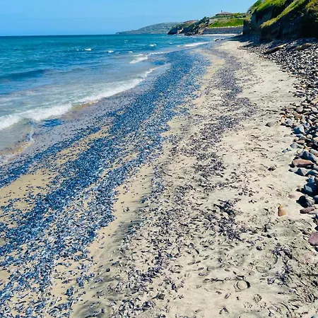 With Private Access To Villa Sorso