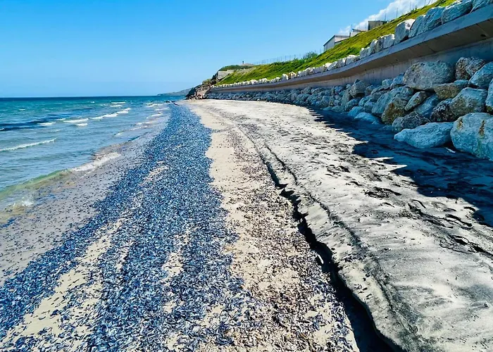 With Private Access To Villa *