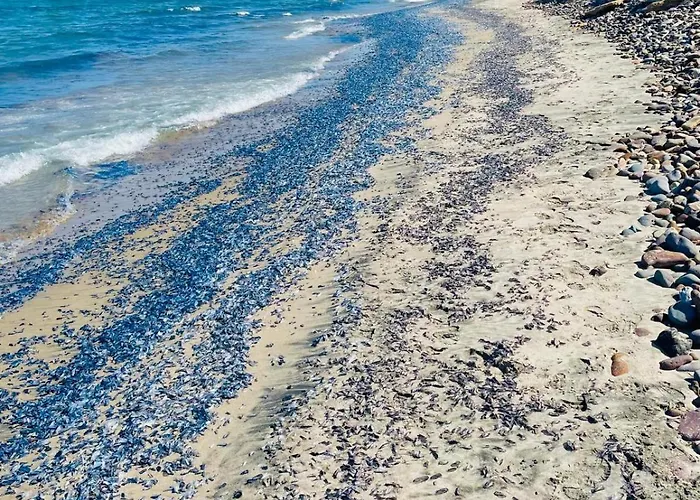 With Private Access To Вилла Сорсо